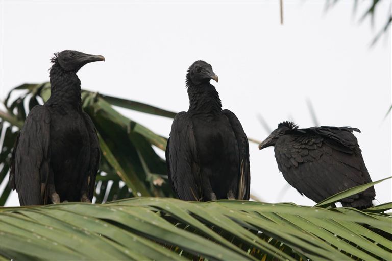 Ben Costello photography portfolio image 15