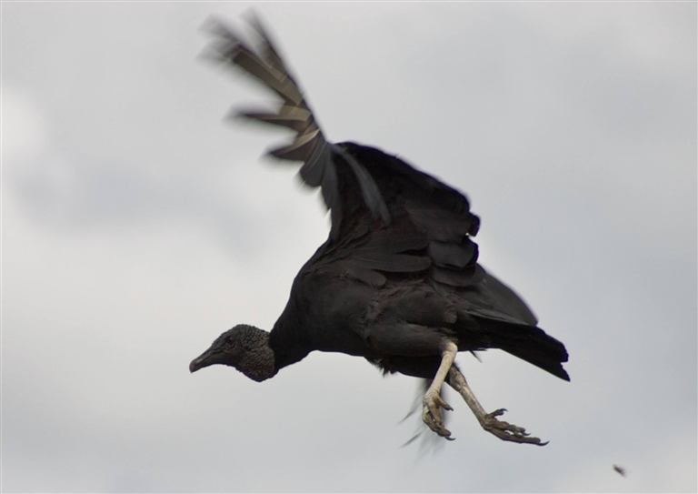 Ben Costello photography portfolio image 17