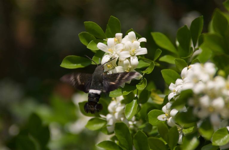 Ben Costello photography portfolio image 18